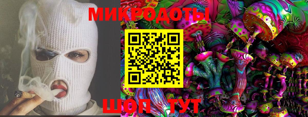 Галлюциногенные грибы Psilocybine cubensis Обь