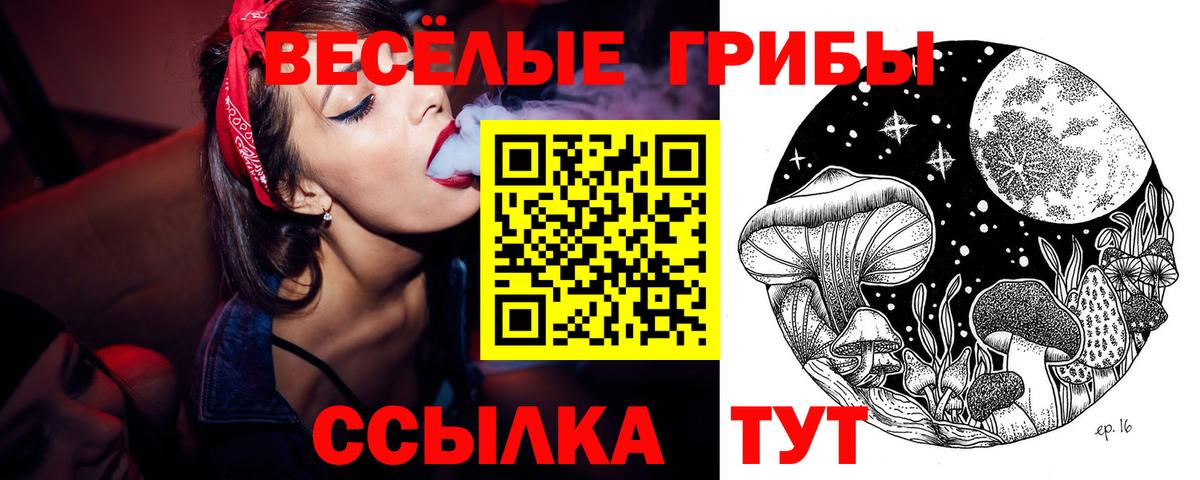 Псилоцибиновые грибы MAGIC MUSHROOMS  Вход с VPN  Галлюциногенные грибы Magic Shrooms  даркнет сайт  Обь 